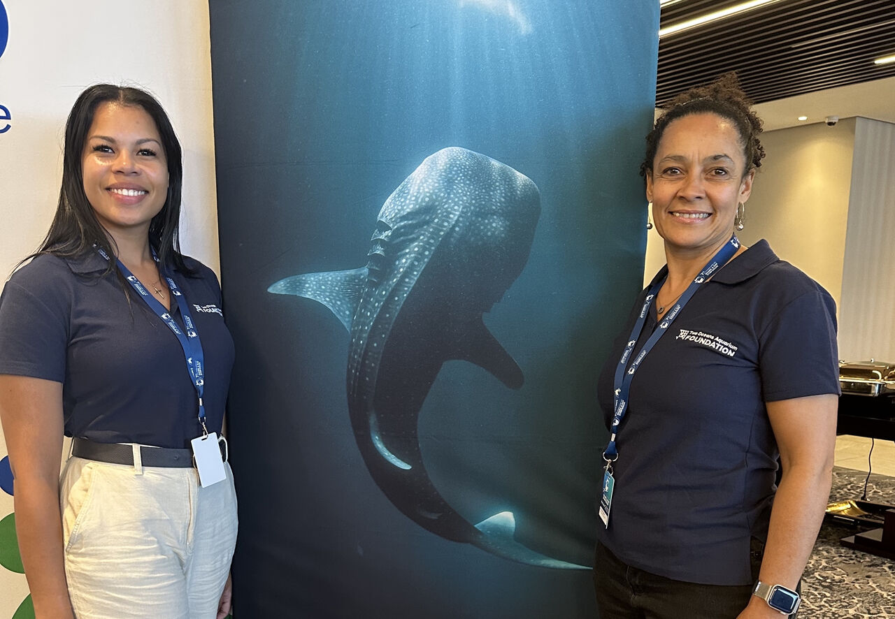 Meet our research team at the Two Oceans Aquarium Foundation