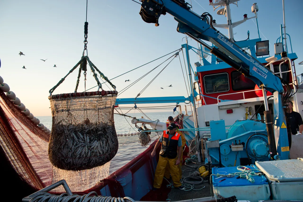 Ocean Image Bank Nicolas Job 5