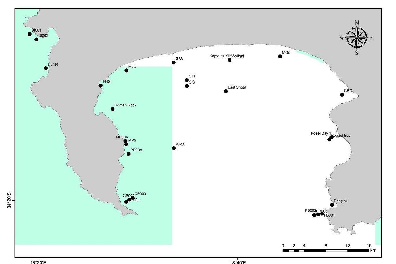 2022 Elasmobranch ATAP research proposal FINAL