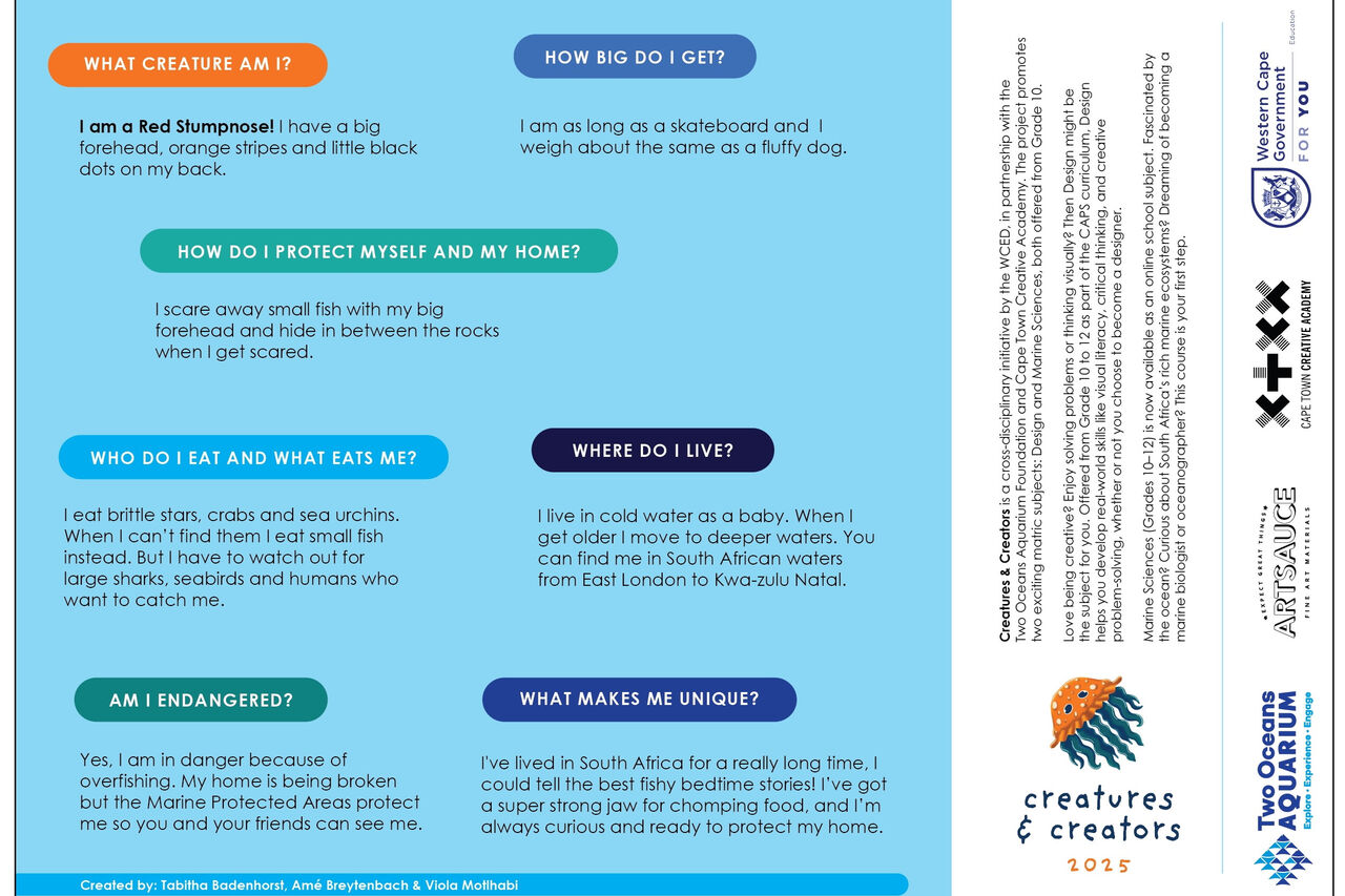 Red Stumpnose creature final Red Stumpnose Back