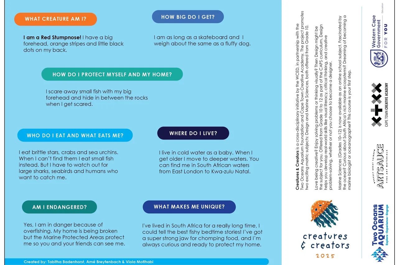 Red Stumpnose creature final Red Stumpnose Back