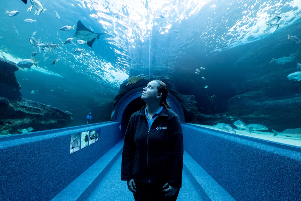 We celebrated our dedicated staff at the Two Oceans Aquarium and its Foundation!