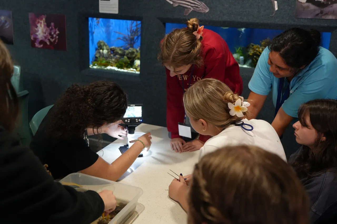 Here’s why Marine Sciences should be your top Matric subject choice for 2026