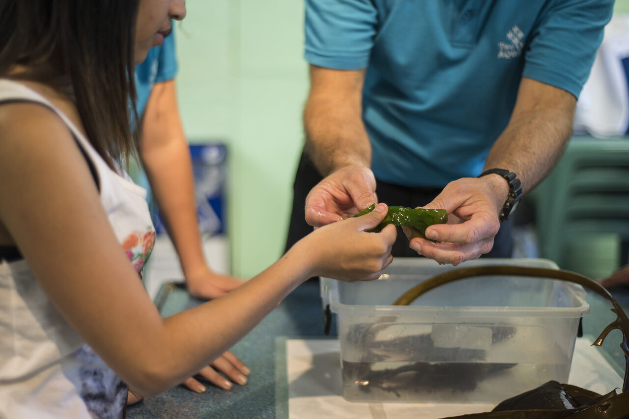 Two Oceans Aquarium Jan 2015 HR 114