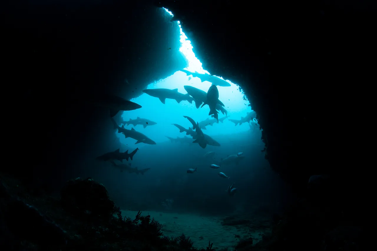 4ryandaly Aliwal MPA Ryan Daly