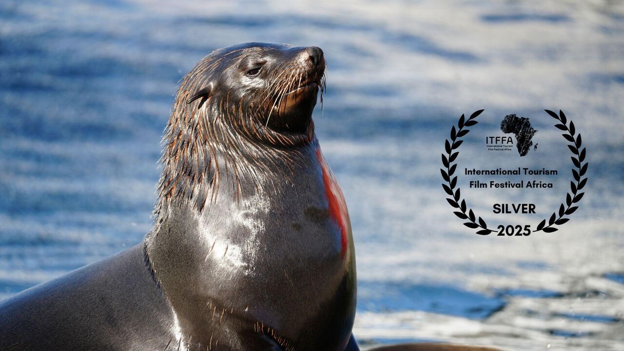 Two Oceans Aquarium Foundation’s ‘By Die Soutwater’ Wins Silver at International Tourism Film Festival Africa