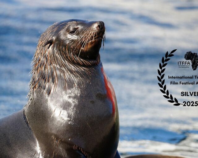 Two Oceans Aquarium Foundation’s ‘By Die Soutwater’ Wins Silver at International Tourism Film Festival Africa