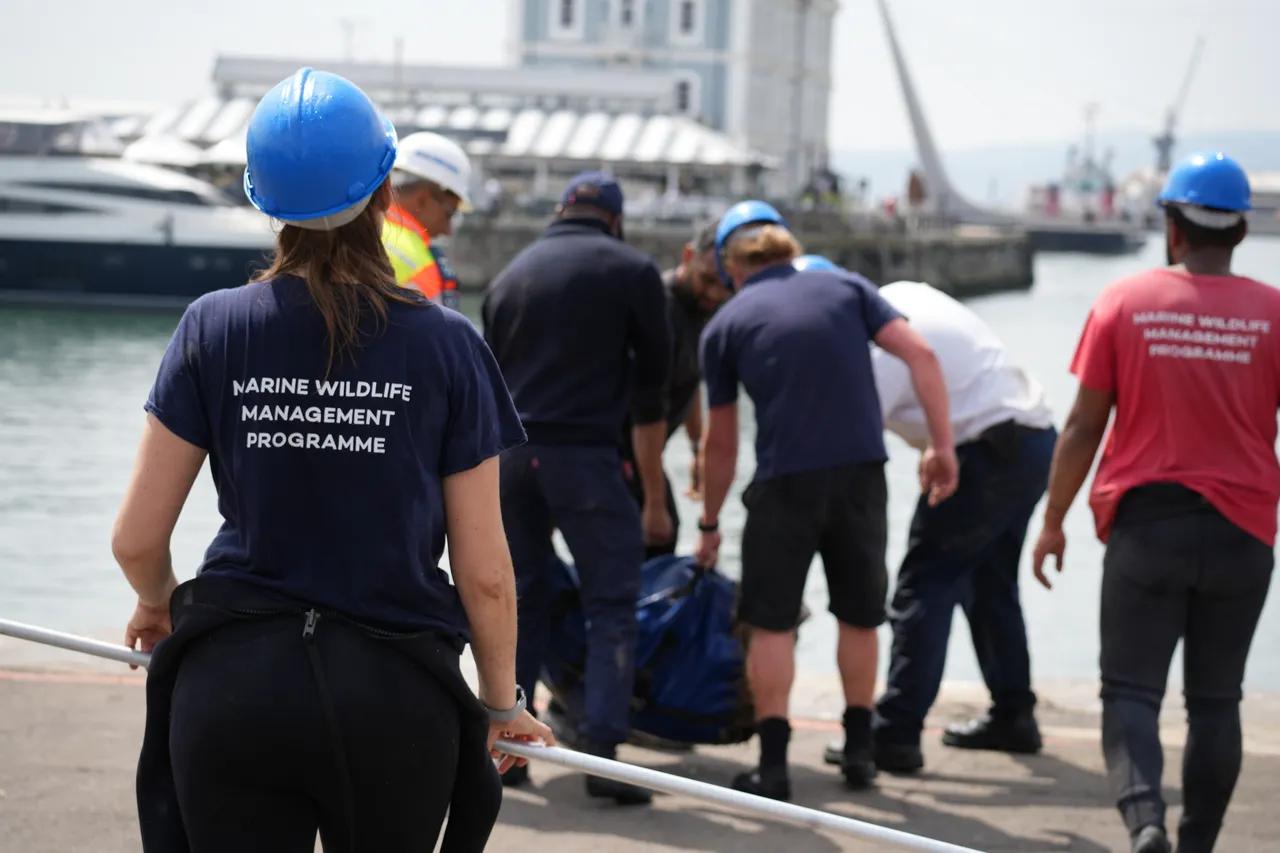 Two Oceans Aquarium 7