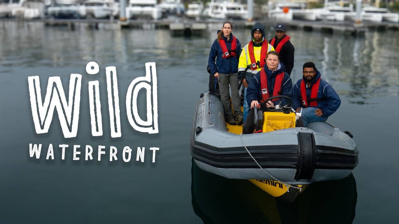 The making of "Wild Waterfront": A glimpse into our urban wildlife and the people who protect them