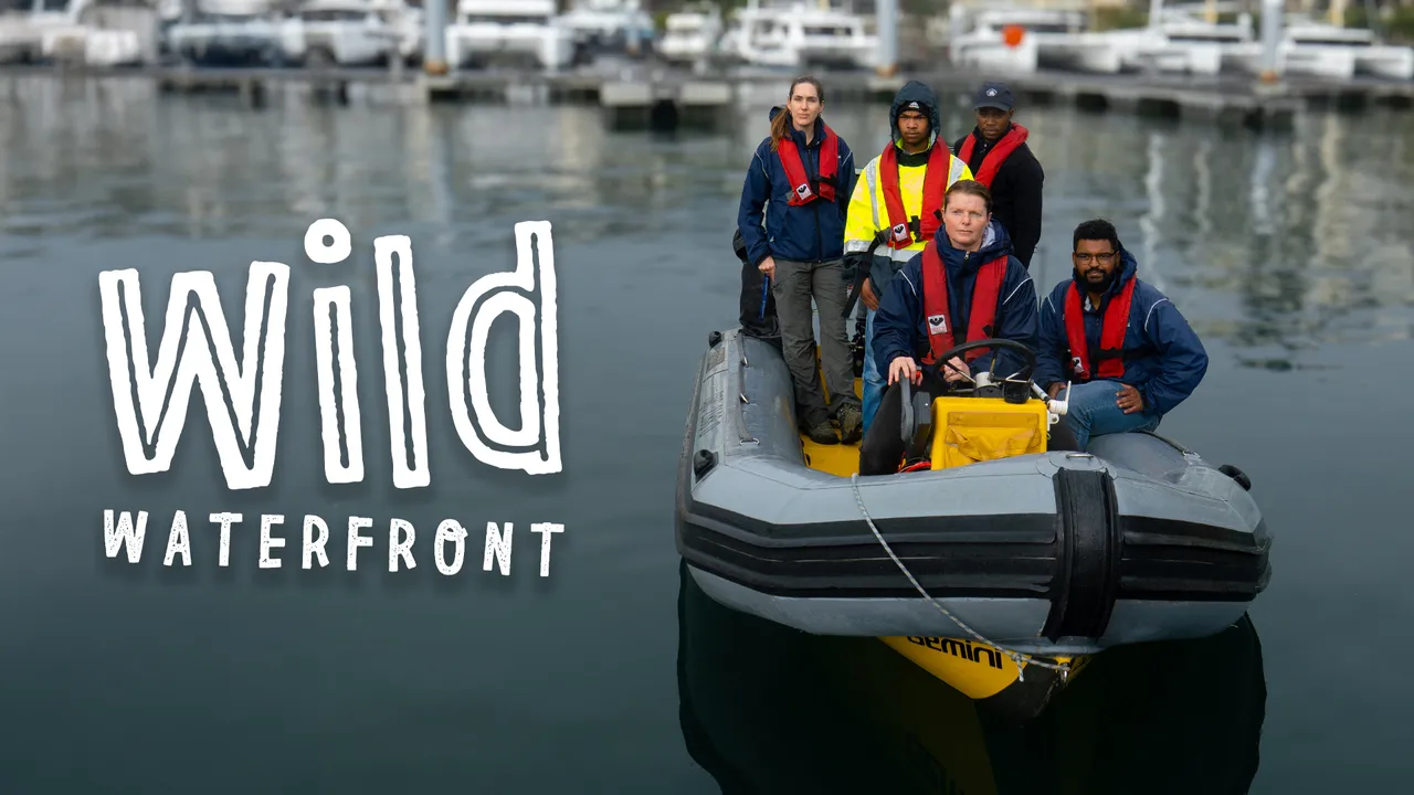 "Wild Waterfront": The remarkable tale of our urban wildlife and the people who protect them