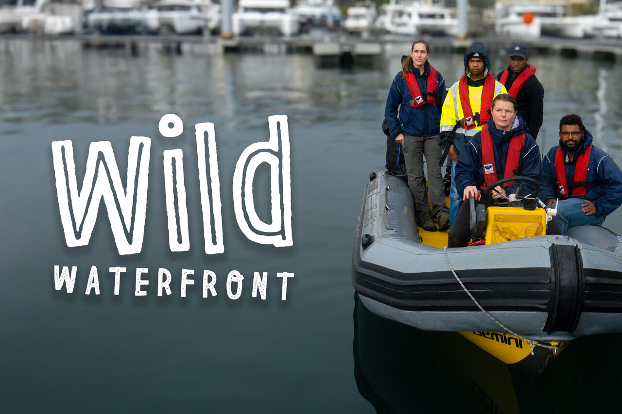 WILDWATERFRONT TOA 2025 LANDSCAPE