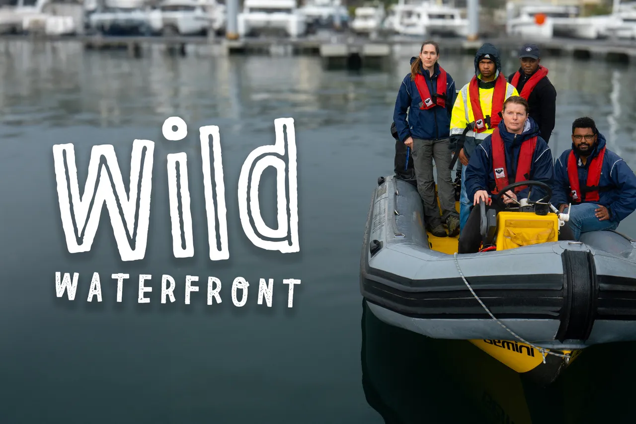 WILDWATERFRONT TOA 2025 LANDSCAPE