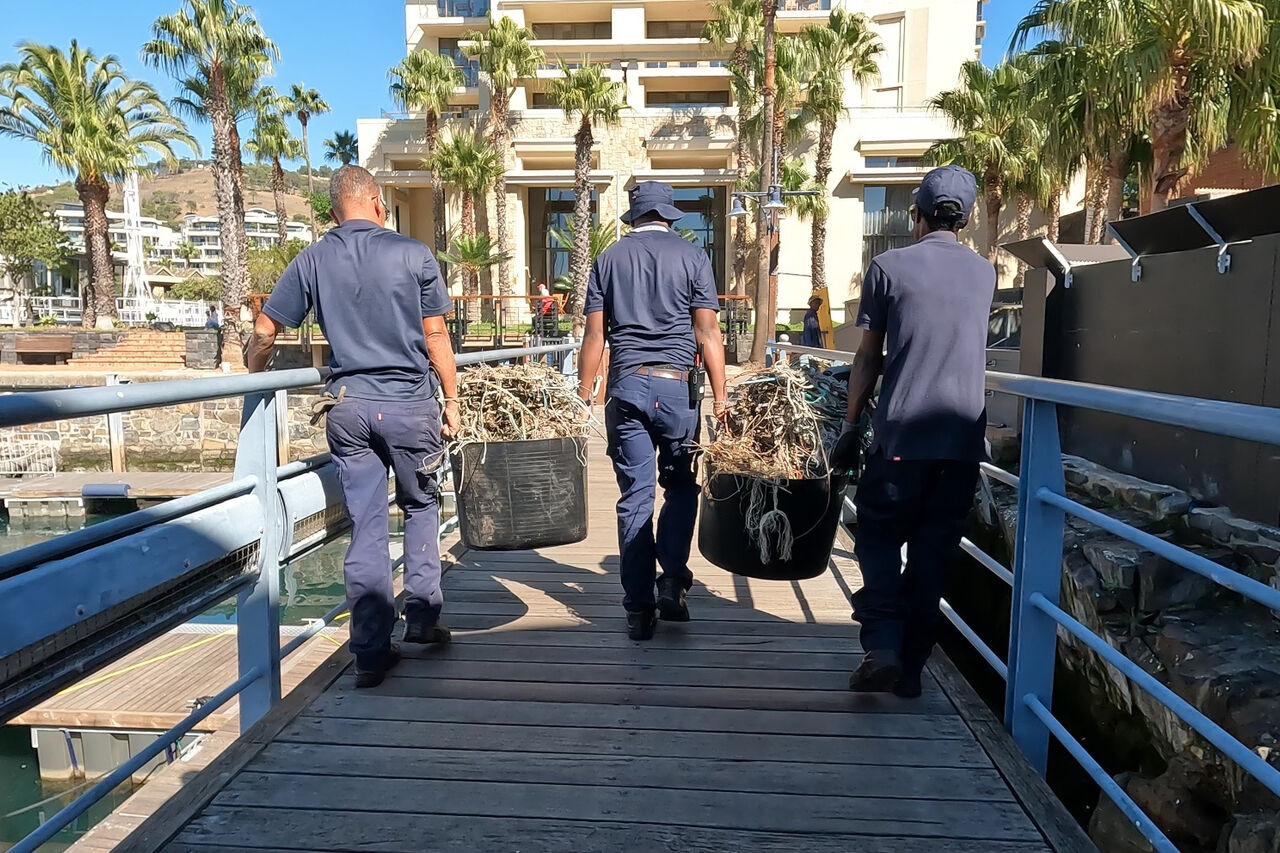 BTS screenshot cormorant nest removal 2