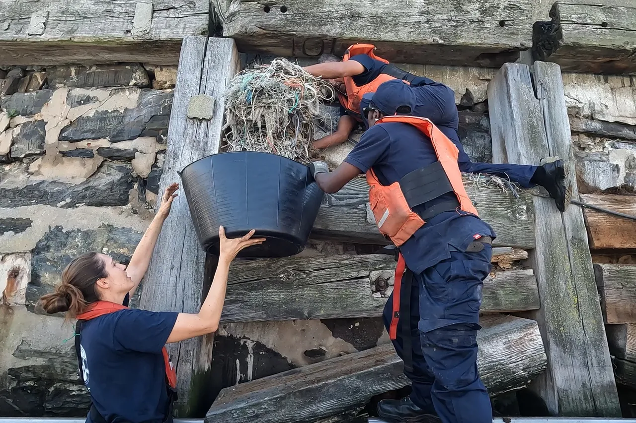 BTS screenshot cormorant nest removal