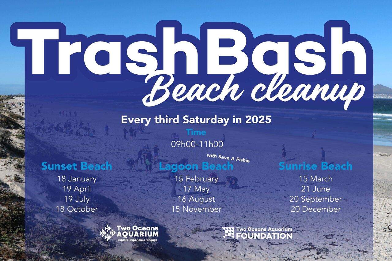 Trash Bash TOA 2025 DATES INVITE