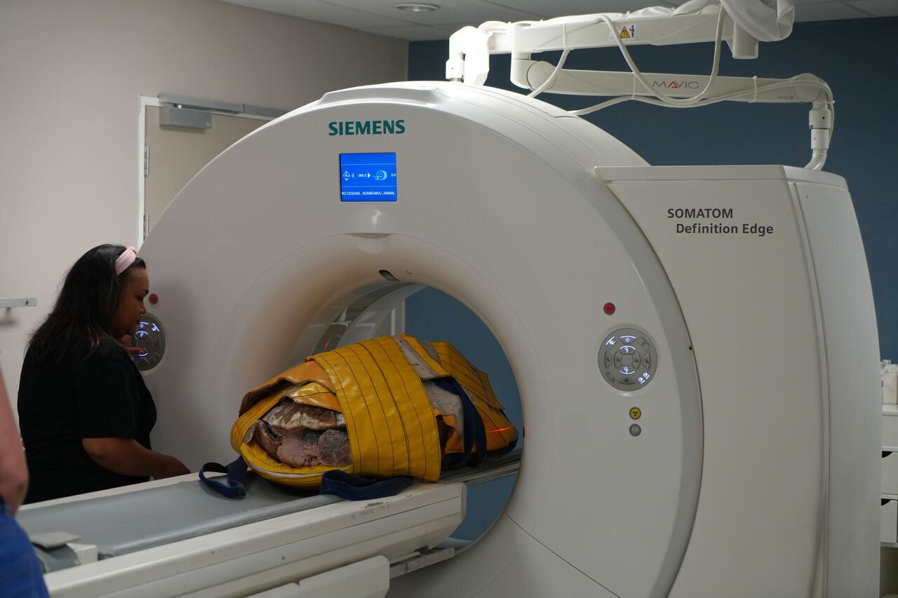 Two Oceans Aquarium | Scan you believe it? The value of CT and MRI…