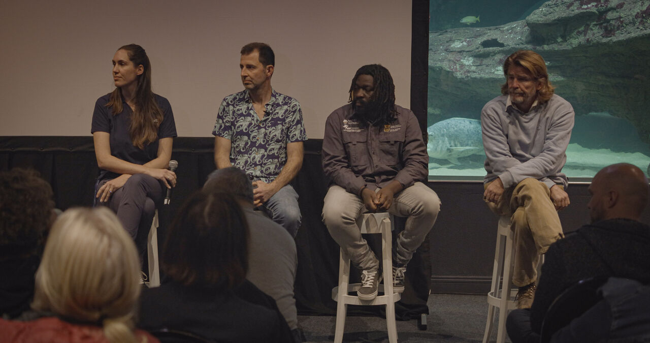 The Two Oceans Aquarium Foundation hosted a Seal Health Public Information Session!