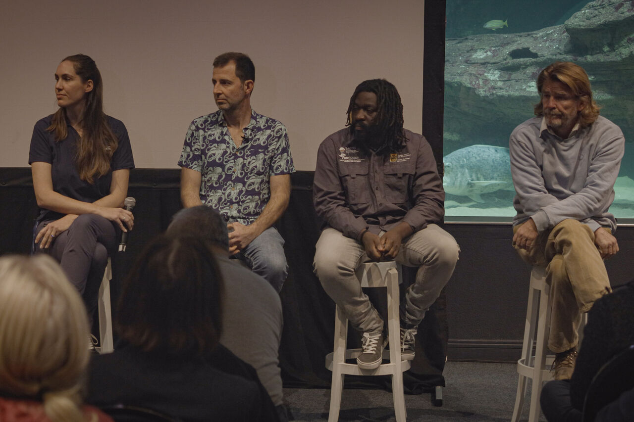 TOA Seals 25 07 25 Wild Wave Films10