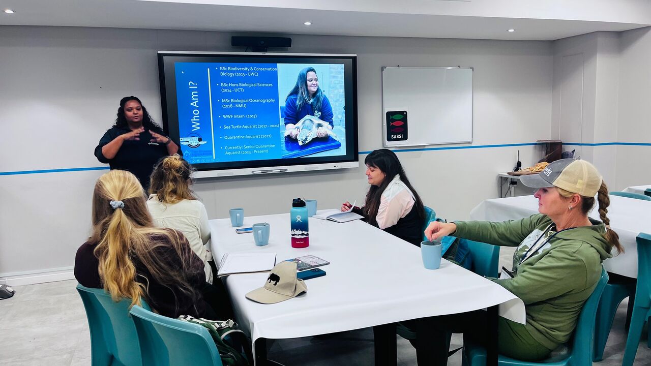 Worldwide Vets volunteers dive into marine animal care at the Two Oceans Aquarium