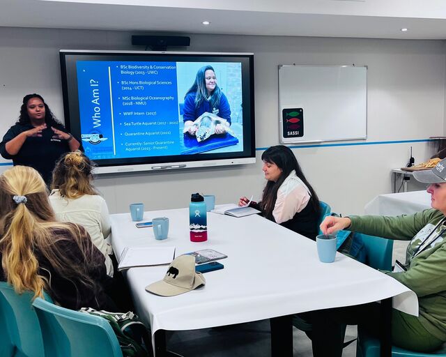Worldwide Vets volunteers dive into marine animal care at the Two Oceans Aquarium