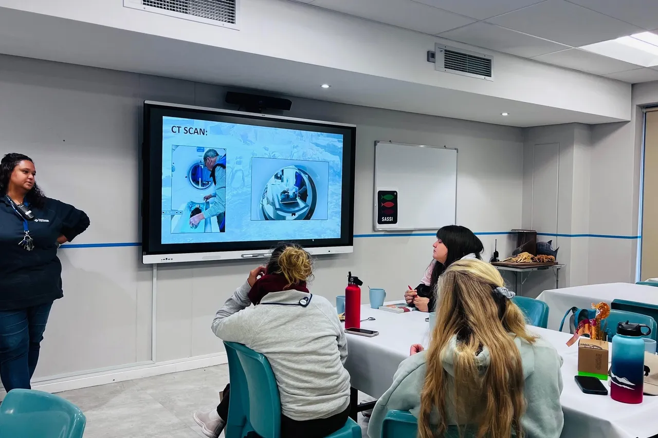 Whats App Image 2025 07 13 at 22 22 13 5