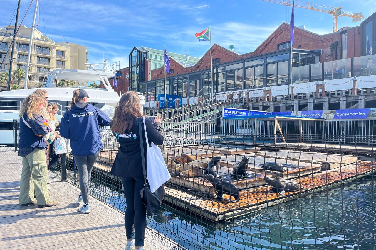 Whats App Image 2025 08 20 at 11 55 40 031b9f36