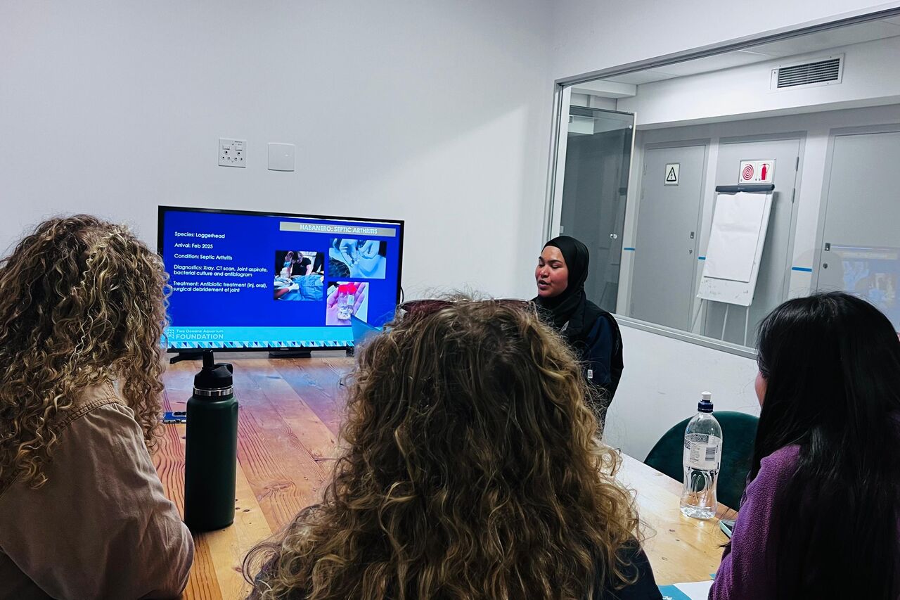 Whats App Image 2025 08 20 at 11 55 40 71dacd96