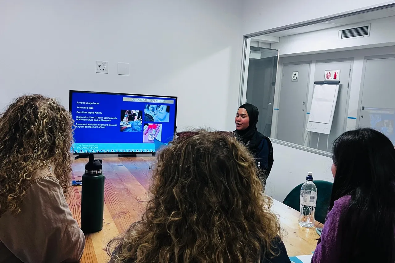 Whats App Image 2025 08 20 at 11 55 40 71dacd96