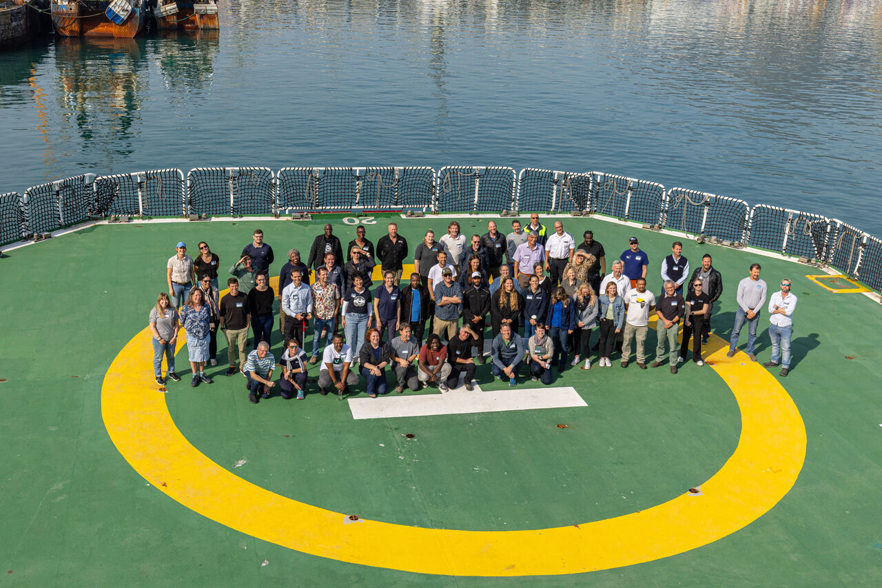 Seal Health Workshop Wild Wave Films12