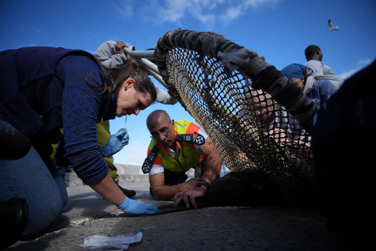 Matrix Images Nic Bothma Seals Vac 39