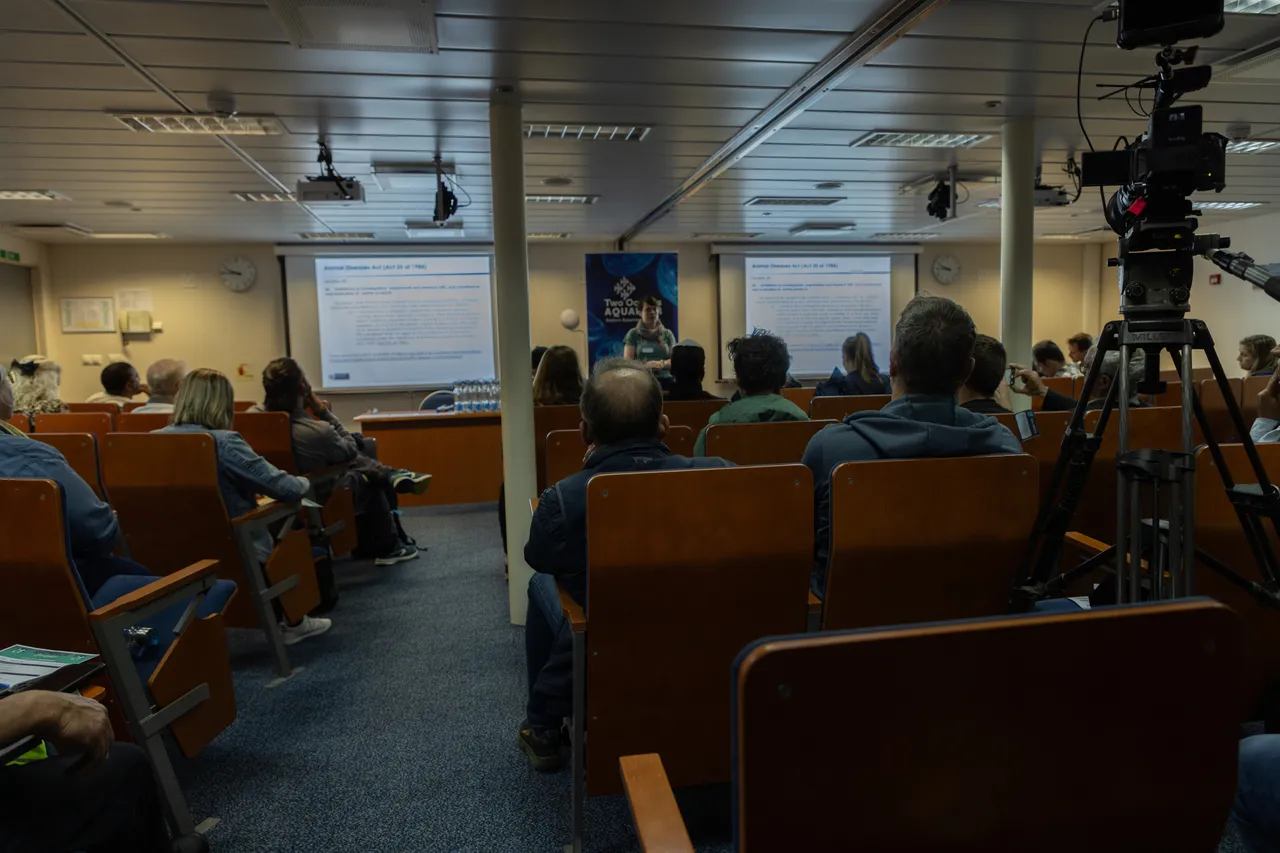 Seal Health Workshop Wild Wave Films1