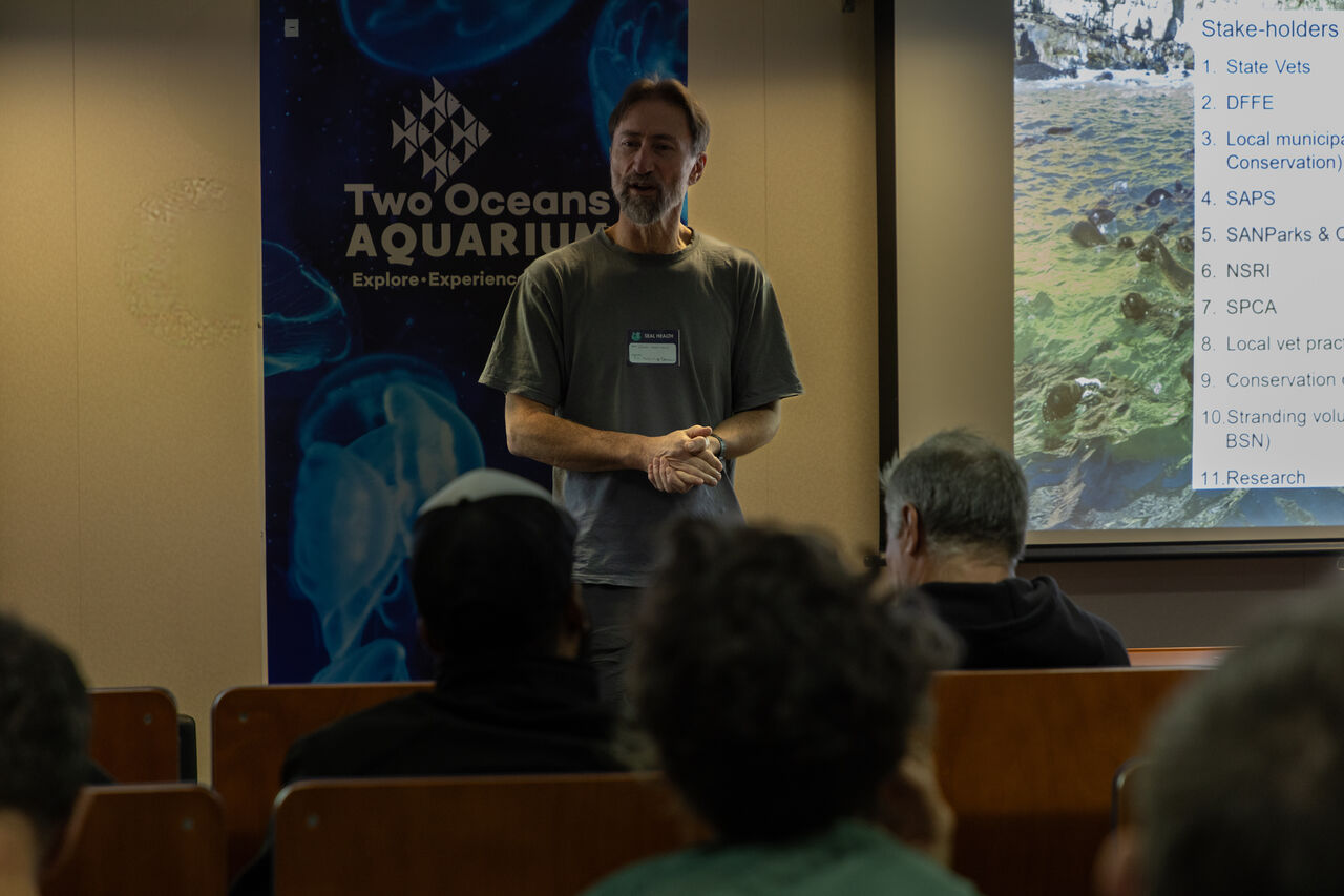 Seal Health Workshop Wild Wave Films6