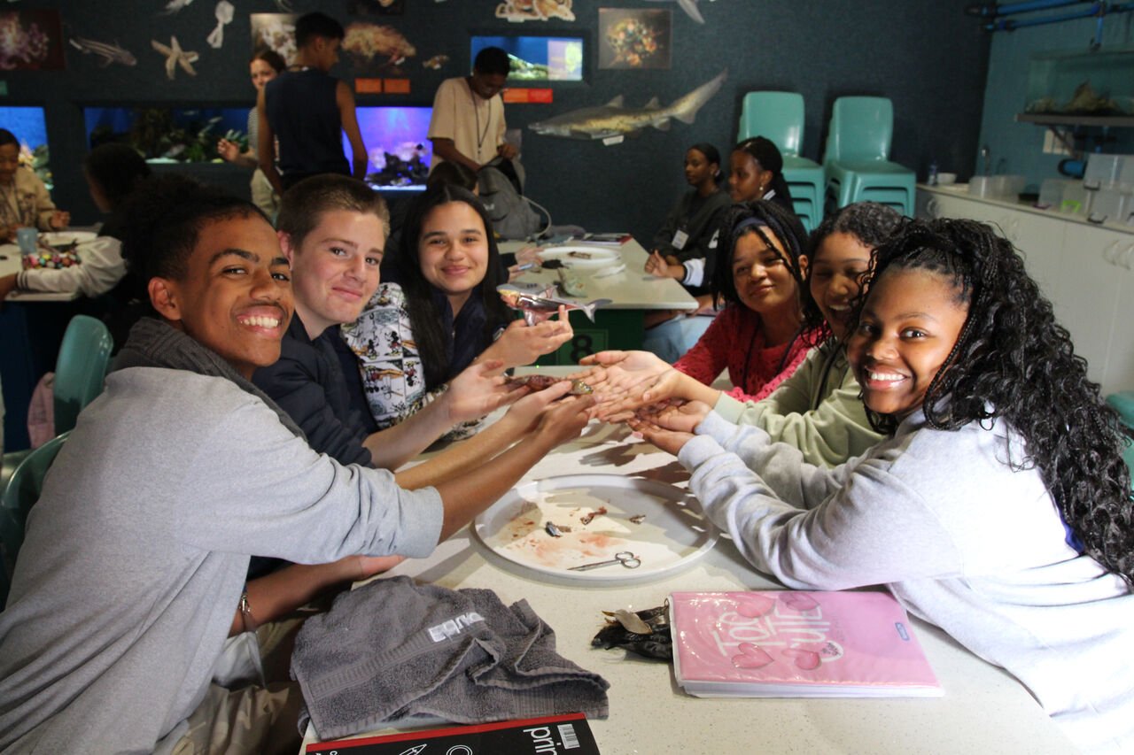 54139556884 c1c59be06f o