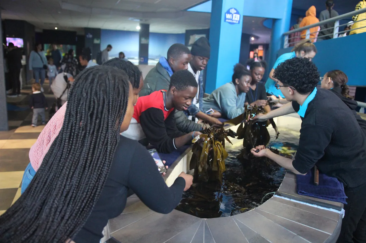 54138367392 d55ec6ec28 o