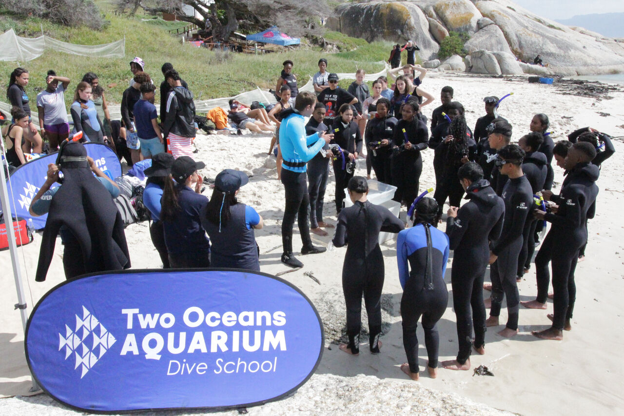 54139561249 4765f26429 o