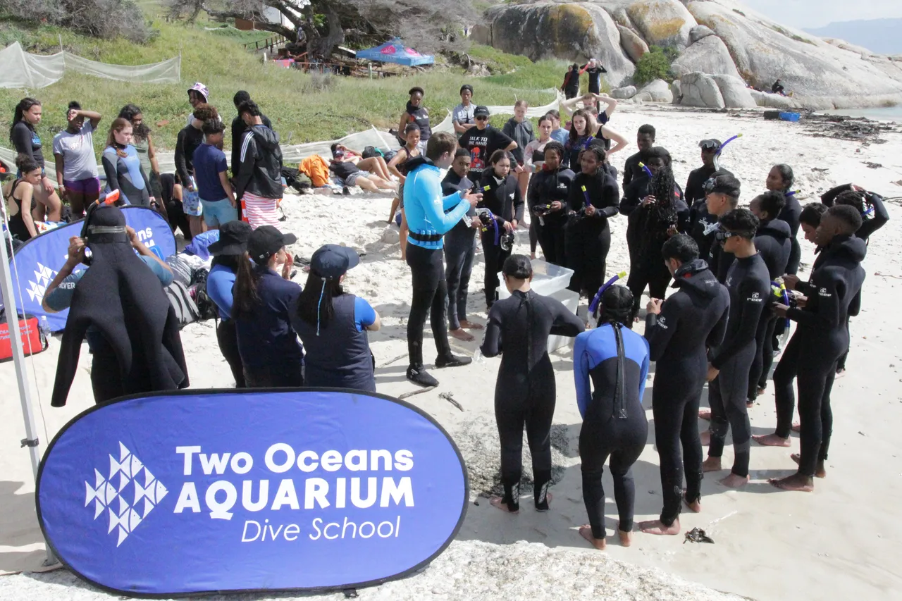 54139561249 4765f26429 o