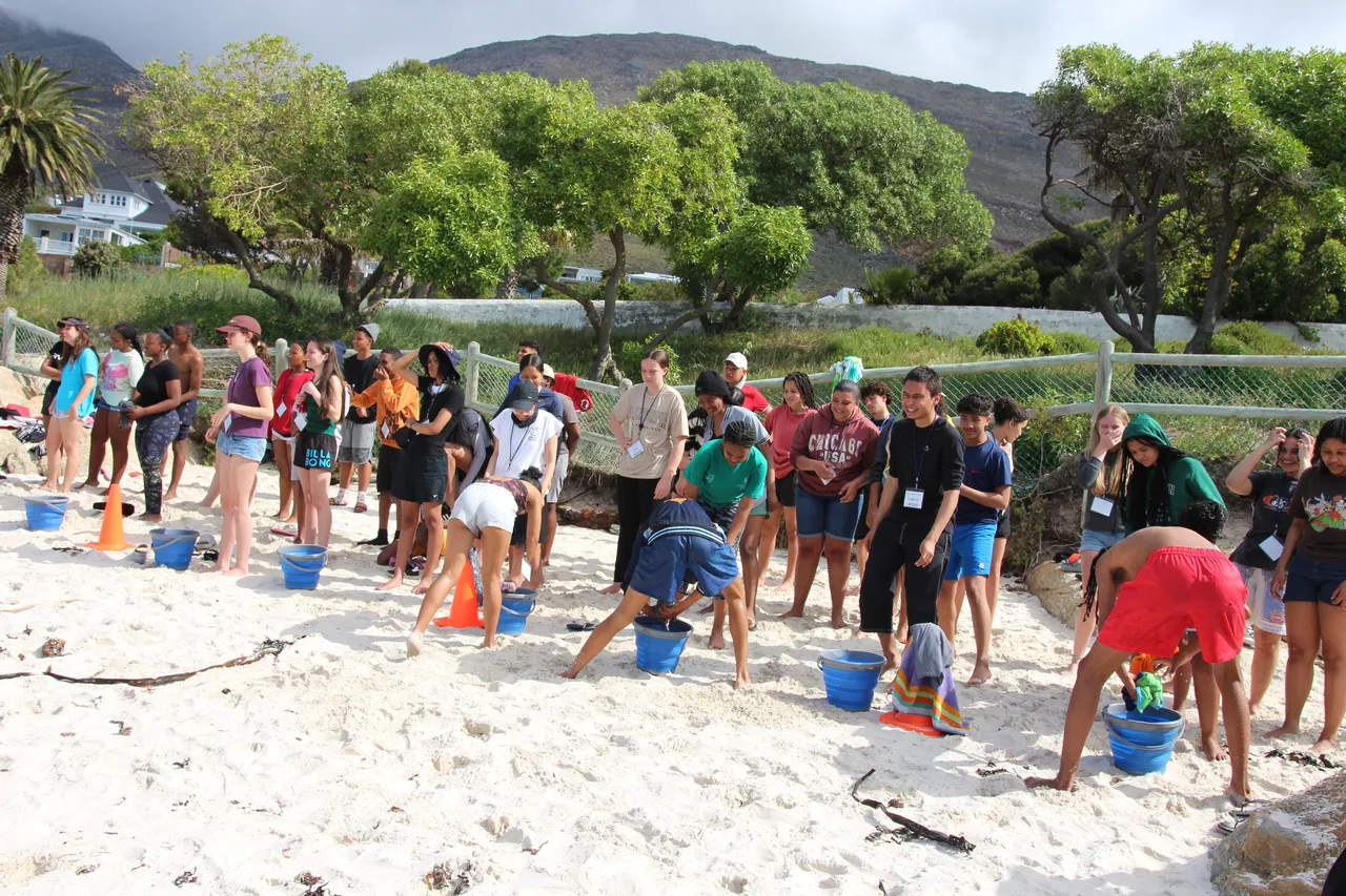 54139235991 983aae6a6d o