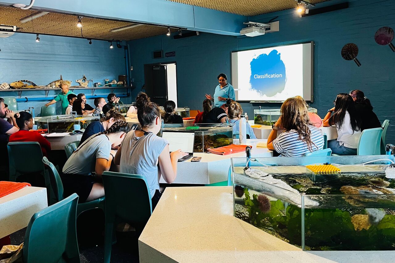 Whats App Image 2025 09 03 at 18 47 35 0f380d01