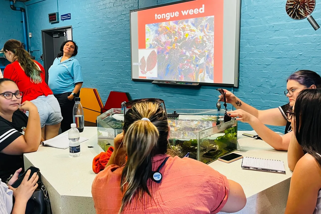 Whats App Image 2025 09 03 at 18 47 31 d64369a0