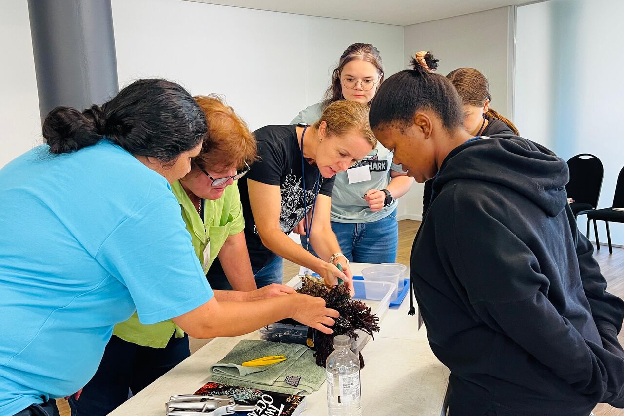 Whats App Image 2025 09 03 at 18 47 44 66e481b7