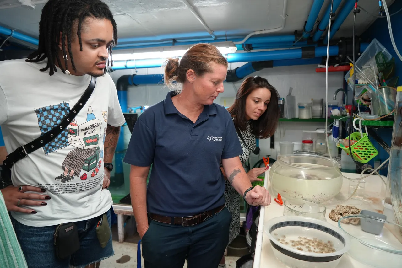 Behind the scenes guided tours