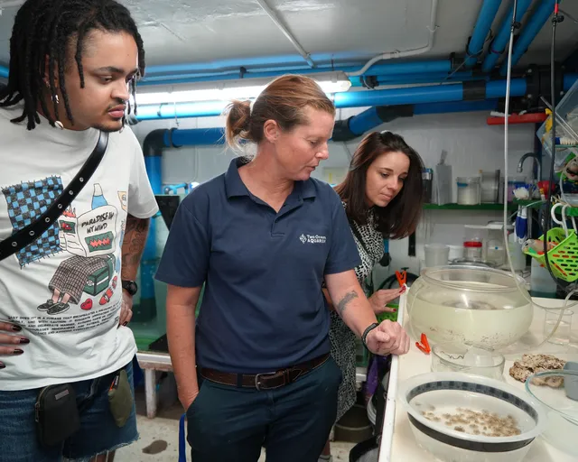 Behind the Scenes Guided Tours