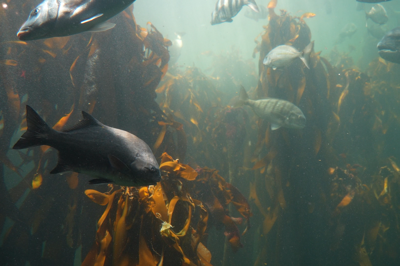 Screenshot 2025 09 16 115226