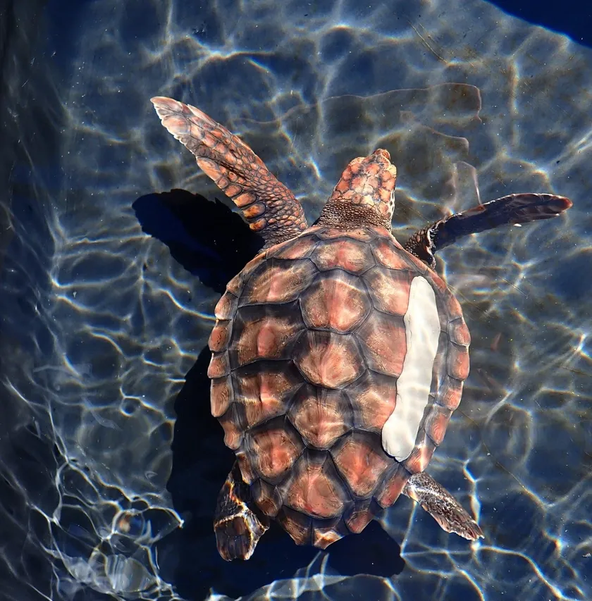 9 C9569 C8 D6 AB 49 EC 8 FEB B78 EAFDA8 E34