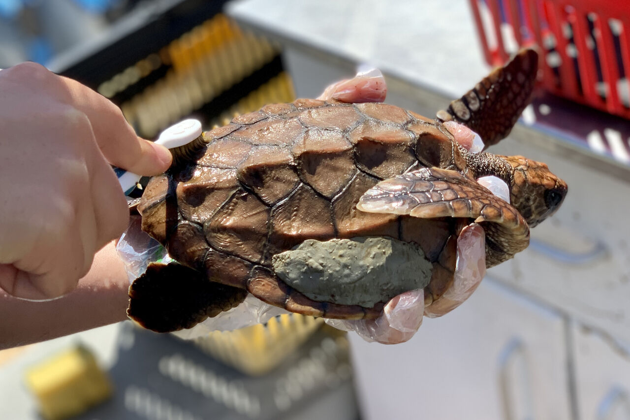 33 CF1 D4 B 9351 4936 9 C36 FEBFCB47 A33 D