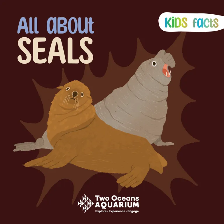 Cape fur seal