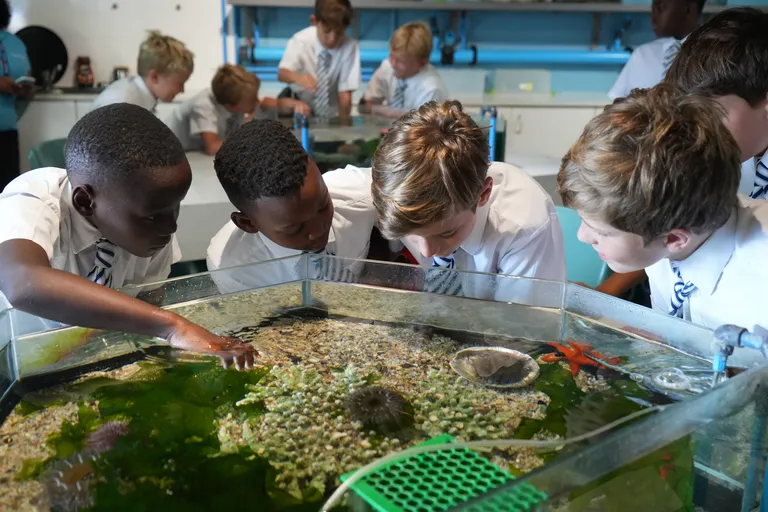 Bring your school to the Aquarium
