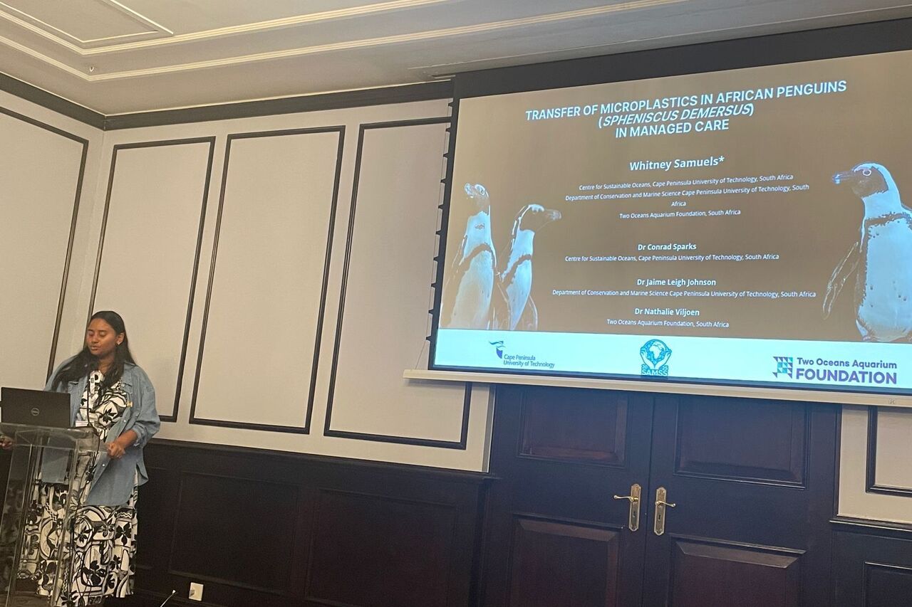 IMG 20250910 WA00691