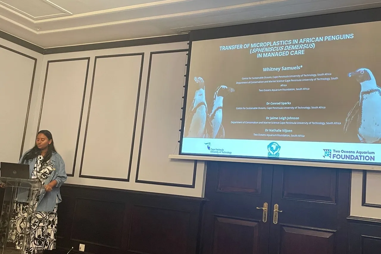 IMG 20250910 WA00691