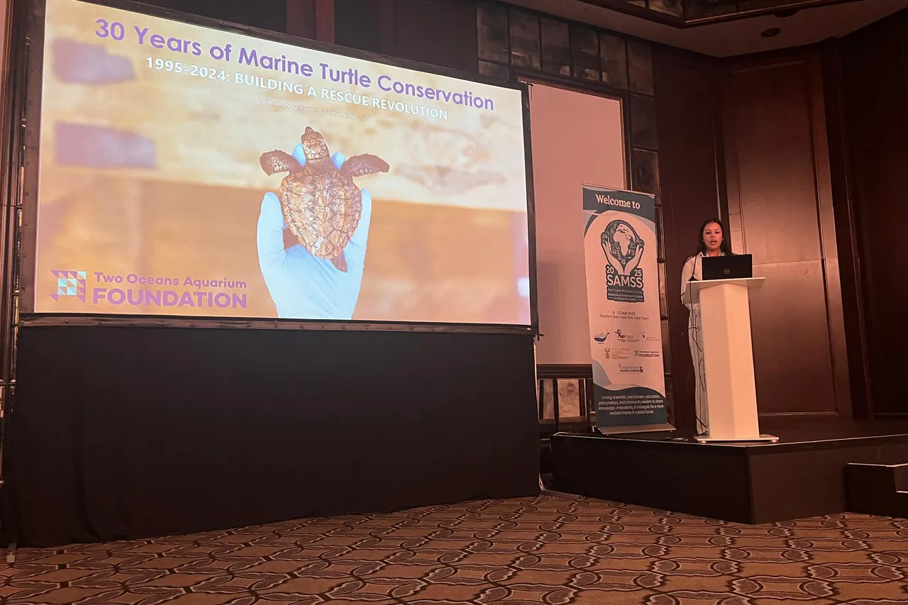 C291c8e7 8d03 4ff8 909a ac3122f344c0